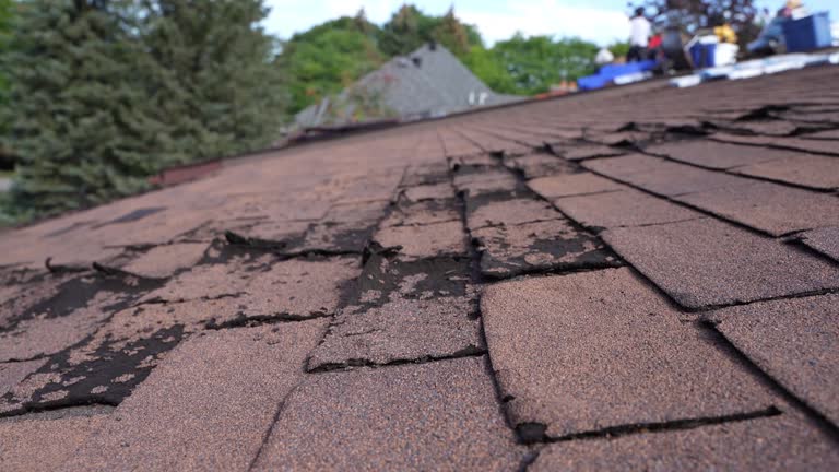 Best Green or Eco-Friendly Roofing Solutions  in Live Oak, TX