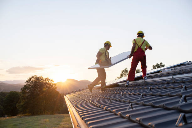 Best Skylight Installation and Repair  in Live Oak, TX