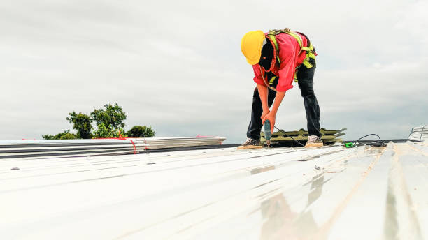 Best Roof Maintenance and Cleaning  in Live Oak, TX
