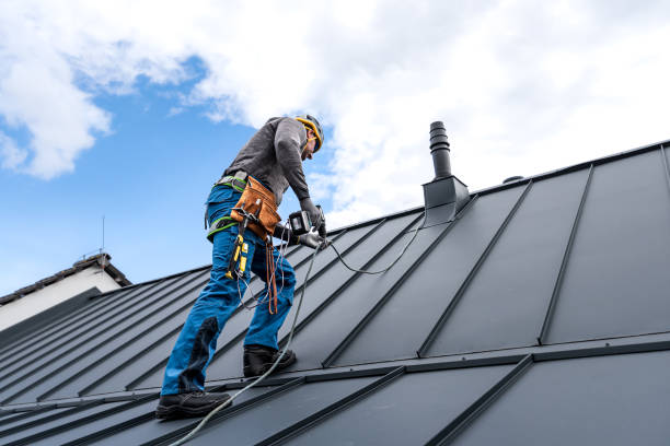 Best Steel Roofing  in Live Oak, TX